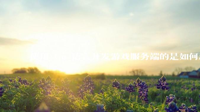 使用 Go 语言开发游戏服务端的是如何忍受无法热更新的？