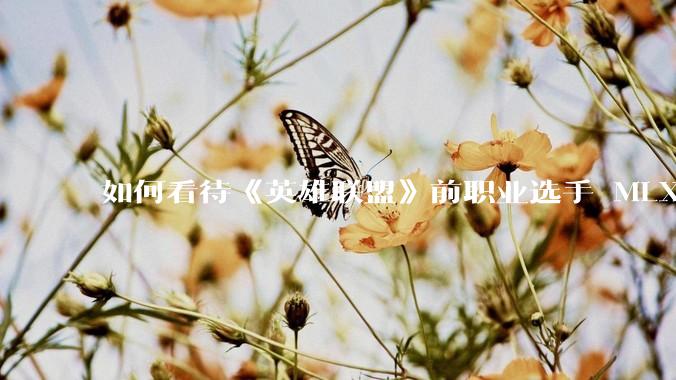 如何看待《英雄联盟》前职业选手 MLXG 与前东家 RNG 官司纠纷败诉，将被强制执行 2500 万？