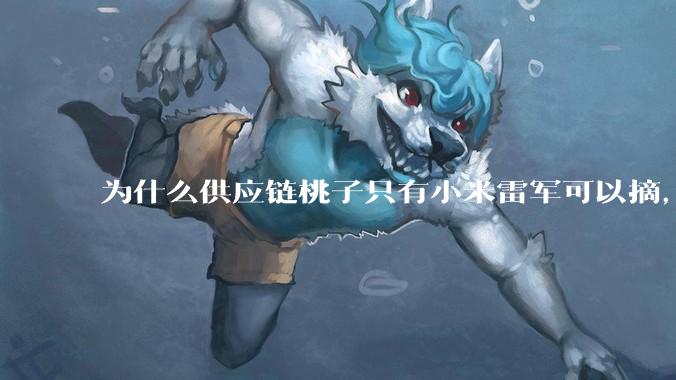 为什么供应链桃子只有小米雷军可以摘，其他人只能干瞪眼？