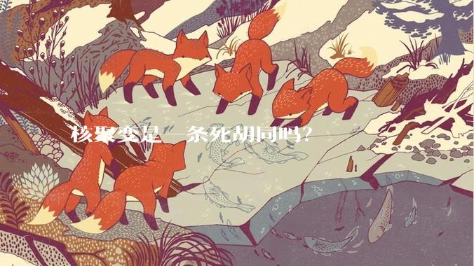核聚变是一条死胡同吗？