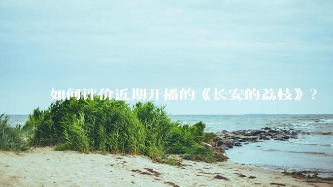 如何评价近期开播的《长安的荔枝》？