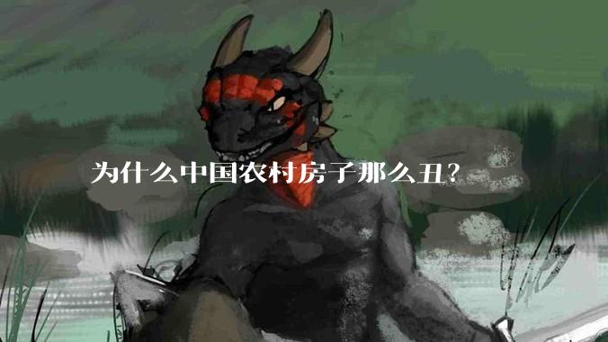 为什么中国农村房子那么丑？