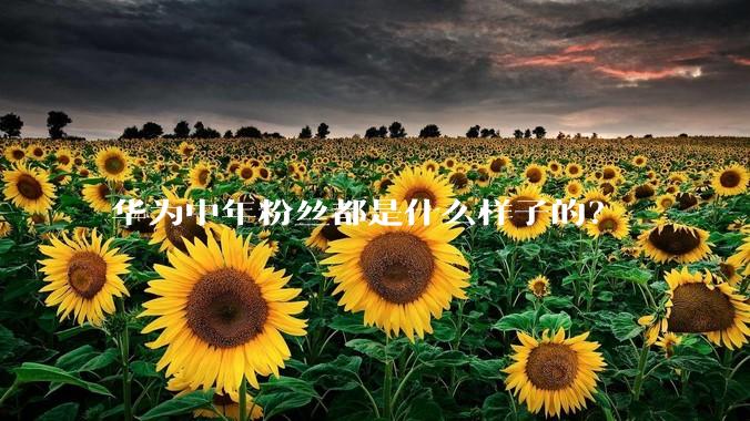 华为中年粉丝都是什么样子的？